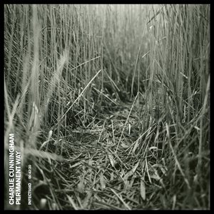 谷歌海外版老司机模式
