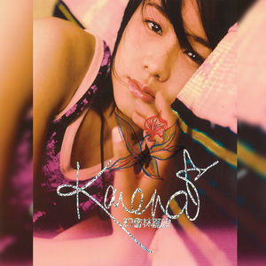 黑客家庭破解1000部
