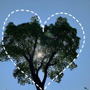 上海外企女被黑人老外高清观看视频
